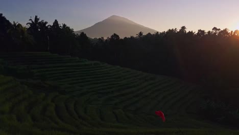 As-the-sun-rises,-Bali's-stunning-rice-terrace-reveals-a-captivating-sight