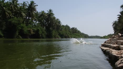 slow-motion-scene-with-a-river-running-through-the-middle-of-a-coconut-forest-shows-a-villager-bathing-in-the-river-without-clothes