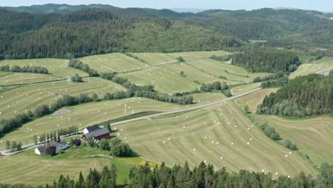 Aerial-View-Of-Rural-Fields-With-Round-Hay-Bales