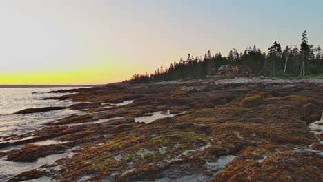 Rocky-sunlit-shoreline-off-Southport,-Maine-a-seagull-flaps-it's-wings-on-rocks-then-flies-away
