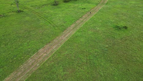 Man-Running-Across-Trails-In-Green-Fields-At-Daytime