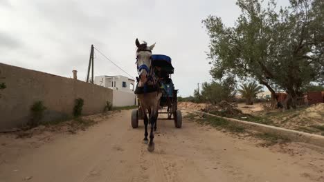 Vorderansicht-Einer-Fahrenden-Weißen-Pferdekutsche-Mit-Touristen-Durch-Staubige,-Unbefestigte-Straßen-Tunesiens