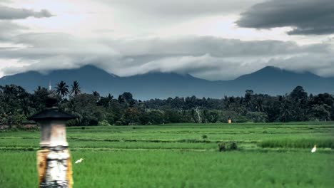 166-Reisfelder-Und-Kokospalmen-Bedecken-Die-Ebenen-Und-Ausläufer-Am-Fuße-Eines-Berges-In-Südostasien,-Blick-Auf-Berge-Und-Grüne-Felder