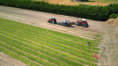 Luftaufnahmen-über-Einem-Feld-Mit-Landwirtschaftlichen-Geräten-Und-Bauern-Bei-Der-Ernte