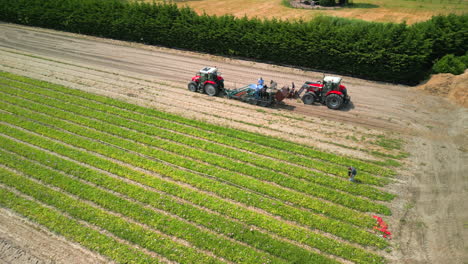 Imágenes-Aéreas-Sobre-Un-Campo-Con-Equipos-Agrícolas-Y-Agricultores-Cosechando-Cultivos