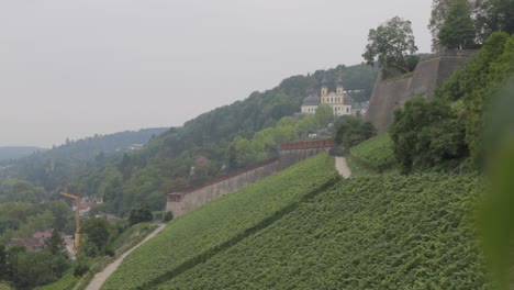 Wide-shot:-A-static-camera-captures-the-Marburg-Castle-from-afar,-surrounded-by-a-forest,-with-a-vineyard-in-the-foreground-on-a-cloudy-day
