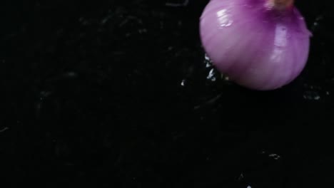 Slow-motion-single-fresh-whole-onion-falling-onto-rippling-water-bouncing-on-surface-isolated-on-black