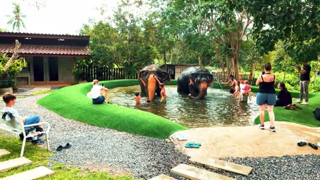 Los-Turistas-Bañan-A-Los-Elefantes-Tailandeses-En-Agua-Para-Refrescarse-En-La-Isla-De-Koh-Samui-En-Tailandia.