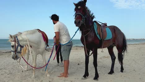 Man-with-brown-nervous-stallion-and-little-girl-with-red-hair-on-white-horse-prepare-to-ride-on-shore-of-beach