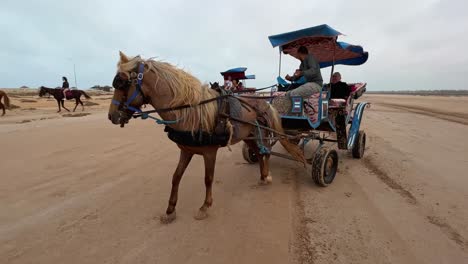 Touristen-Genießen-Ihren-Urlaub-In-Der-Tunesischen-Wüste-Auf-Einer-Karawanentour-Mit-Pferden-Und-Kutschen