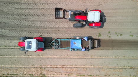 Drone-aerial-as-Farmhands-sort-freshly-harvested-crops-in-the-Netherlands