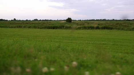 straight-flat-landscape-without-people-and-houses-in-northern-germany