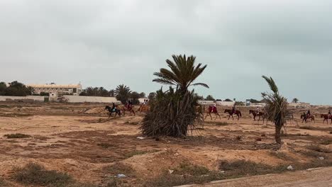 Long-caravan-of-tourists-riding-horses-and-camels-across-Djerba-landscape-in-Tunisia-as-sees-from-moving-vehicle