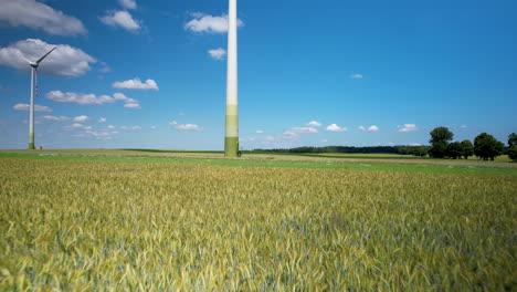 Aerial-backwards-flight-over-agricultural-wheat-field-with-rotating-wind-mill-against-blue-sky-in-background