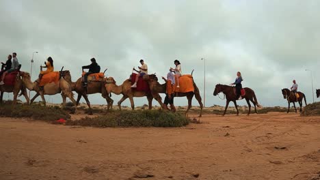 Ground-surface-point-of-view-of-tourists-riding-horses-and-dromedaries-for-a-caravan-tour-in-Tunisia