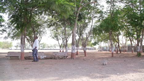 An-elderly-Indian-man-is-walking-into-a-garden-with-tall-shrubs