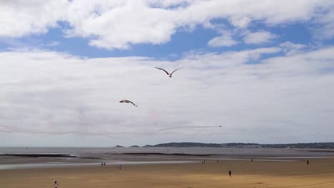 Aviones-De-Combate-Con-Flechas-Rojas-Se-Cruzan-Y-Casi-Fallan-Sobre-La-Bahía-De-Swansea-Durante-Un-Espectáculo-Aéreo