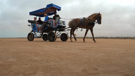 Side-view-of-harnessed-horse-pulling-carriage-with-tourists-along-Tunisian-dry-salt-lake-desert