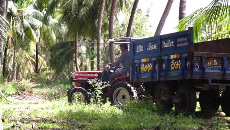 Vorderansicht-Eines-Bauern,-Der-Mit-Seinem-Traktorwagen-Zu-Einer-Kokosnussplantage-Fährt,-Um-Den-Leeren-Wagen-Mit-Frischen-Kokosnüssen-Zu-Füllen