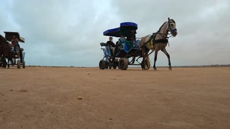 Low-angle-view-of-harnessed-horses-pulling-carriages-with-tourists-and-quad-driving-along-Tunisia-desert