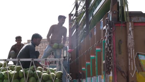 Many-laborers-are-selecting-and-loading-the-fresh-coconuts-into-the-trucks-which-will-be-taken-to-the-market-for-sale