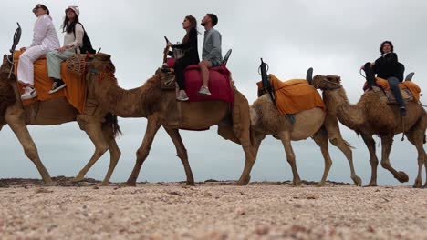 Bodenoberflächenperspektive-Einer-Gruppe-Von-Touristen,-Die-Eine-Karawanentour-Auf-Pferden-Und-Dromedaren-In-Tunesien-Genießen