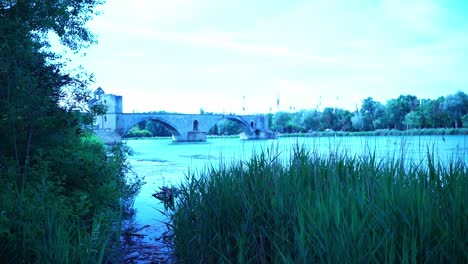 Die-Avignon-Brücke-Steht-Im-Wasser,-Gefilmt-Vom-Ufer-Aus,-Mit-Schilf-Im-Vordergrund