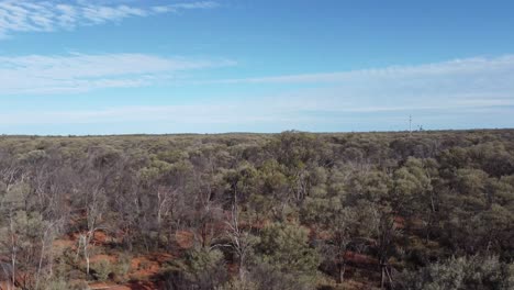 Drone-Ascendiendo-Sobre-Matorrales-Y-Revelando-El-Interior-Australiano