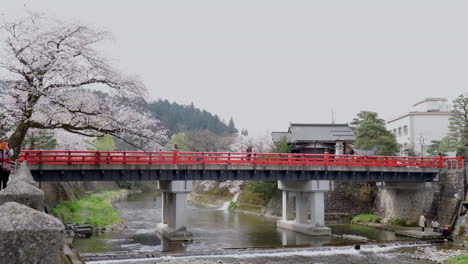Takayama,-Japón---5-De-Abril-De-2023:-Puente-Nakabashi-Con-Flor-De-Cerezo-Sakura-En-Abril