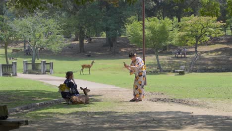 Dos-Chicas-Japonesas-Con-Kimonos,-Tomándose-Fotografías-Con-Un-Ciervo-En-El-Parque-De-Nara,-Japón.