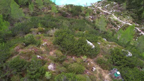La-Vista-De-Drones-Sobre-Un-Bosque-De-Coníferas-Revela-El-Lago-Azul-Sorapiss,-Dolomiti