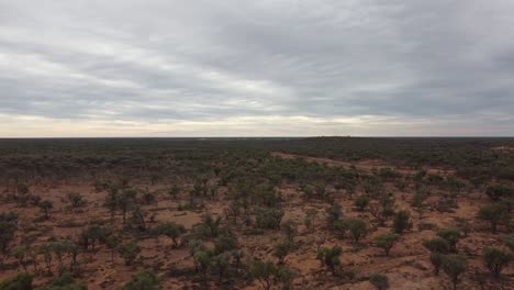 Drone-ascending-over-the-Australian-bushland-revealing-a-rough-landscape