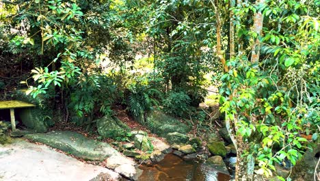 Small-Stream-of-Water-in-a-Forest-of-Trees-at-the-Secret-Garden-in-Koh-Samui,-Thailand