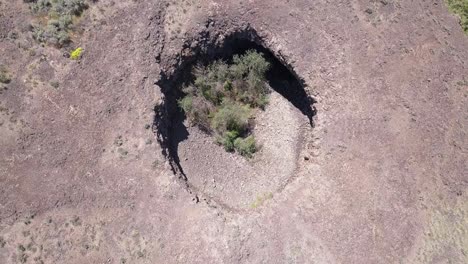 Aerial-descends-to-trees-growing-inside-massive-eroded-pothole,-WA