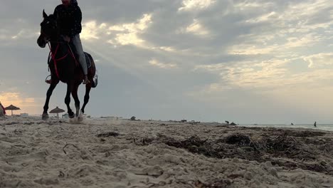 Riding-horse-on-sandy-beach-galloping-at-sunset