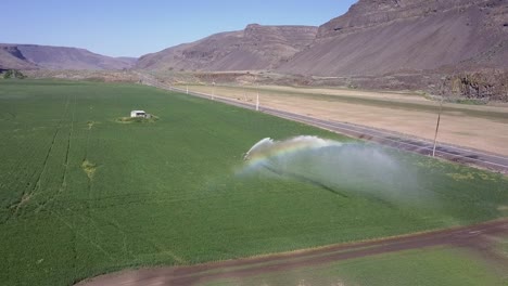 Colorful-rainbow-arc-follows-spray-from-irrigation-wheel-in-crop-field