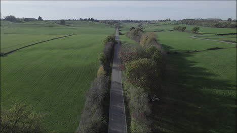 Drone-shot-flying-over-a-straight-rode-in-between-green-fields-over-the-trees-on-a-grey-day-while-a-car-drives-away-LOG