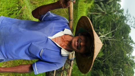 Tiro-Vertical-En-Cámara-Lenta-De-Un-Trabajador-De-Campo-En-Las-Terrazas-De-Arroz-De-Tegallalang-En-Bali,-Indonesia,-Usando-Una-Reja-De-Bambú-Y-Un-Sombrero-De-Arroz.