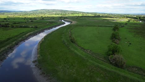 Aerial-wide-shot-of-cows-grazing-in-green-fields-near-Ralty-River,-Ireland