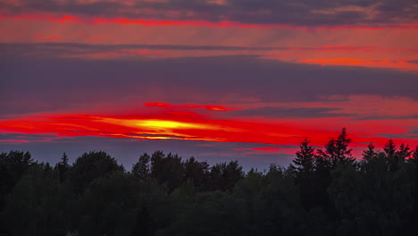 Fiery-sunset-above-the-silhouetted-forest-trees---vibrant-time-lapse