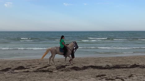 Tourists-riding-horses-and-dromedaries-on-Djerba-beach