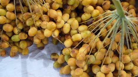 close-up-scene-showing-Red-Date-palm-fruits-organic-best-quality-crop