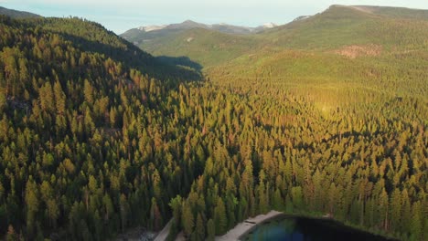 Goldenes-Sonnenlicht-Beleuchtete-Den-Herbstwald-Während-Des-Sonnenuntergangs-In-Idaho,-Vereinigte-Staaten