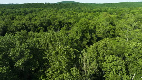 Lush-Green-Forests-In-Arkansas,-USA---aerial-drone-shot