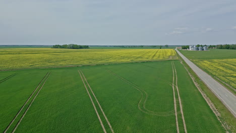 Green-field-farm-along-the-road-towards-the-horizon,-closeup-aerial-tilting