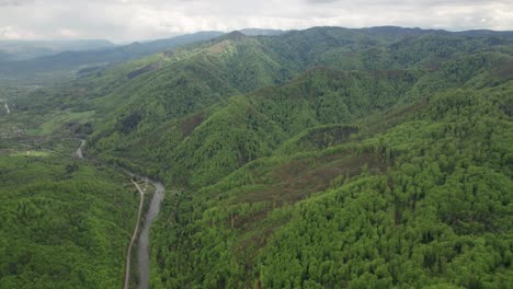 Aerial-of-forest-area-Zavidovici,-Bosnia,-illegal-logging-of-trees
