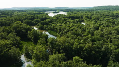 Lush-Rainforests-And-Rivers-In-Arkansas,-USA---aerial-drone-shot