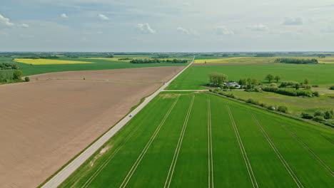 Green-farm-field-beside-long-road-towards-horizon,-wide-angle-aerial