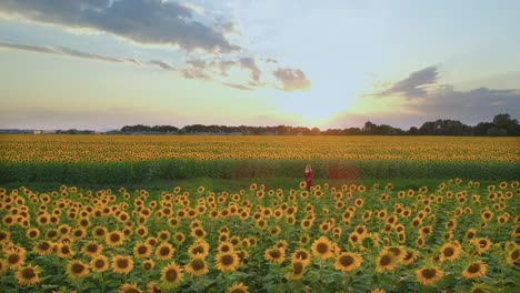 Beautiful-pregnant-woman-walking-in-sunflower-field-at-sunset,-wearing-red-dress