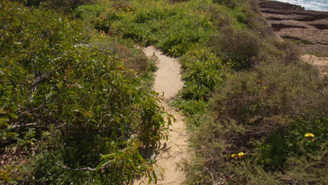 Trail-Towards-The-Edge-Of-A-Cliff-In-The-Shore-Of-Algarve-In-Faro-District,-Portugal